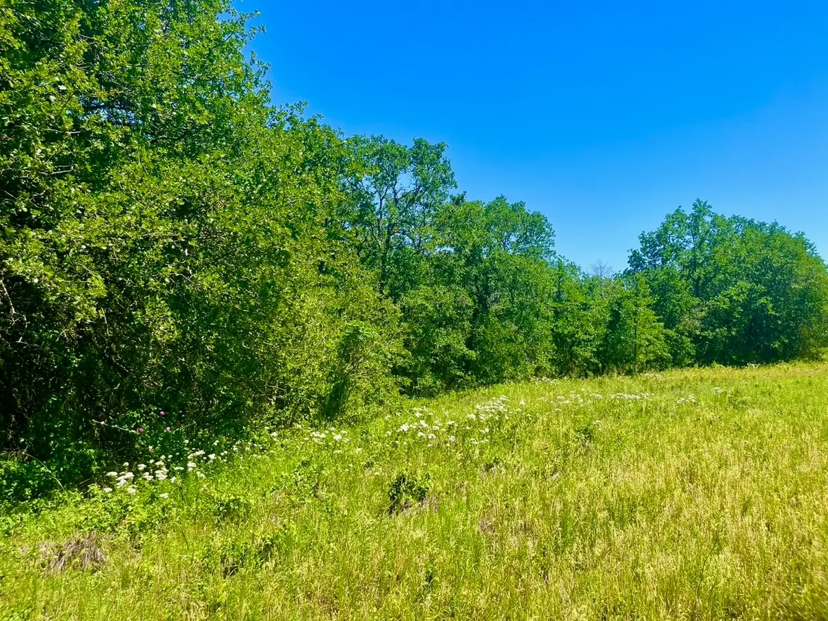 Lot 36 Kilkenny Road, Poolville, TX 76487 - #1