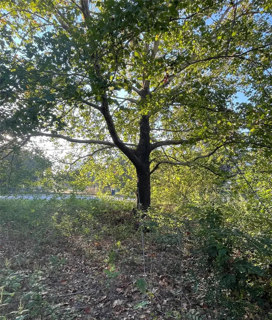 525 S Kent Street, Gorman, TX 76454 - #2