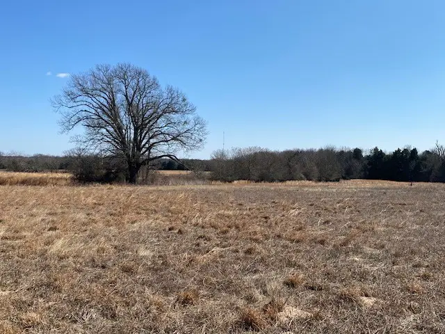 4101 Cr 3703, Athens, TX 75752 - #2