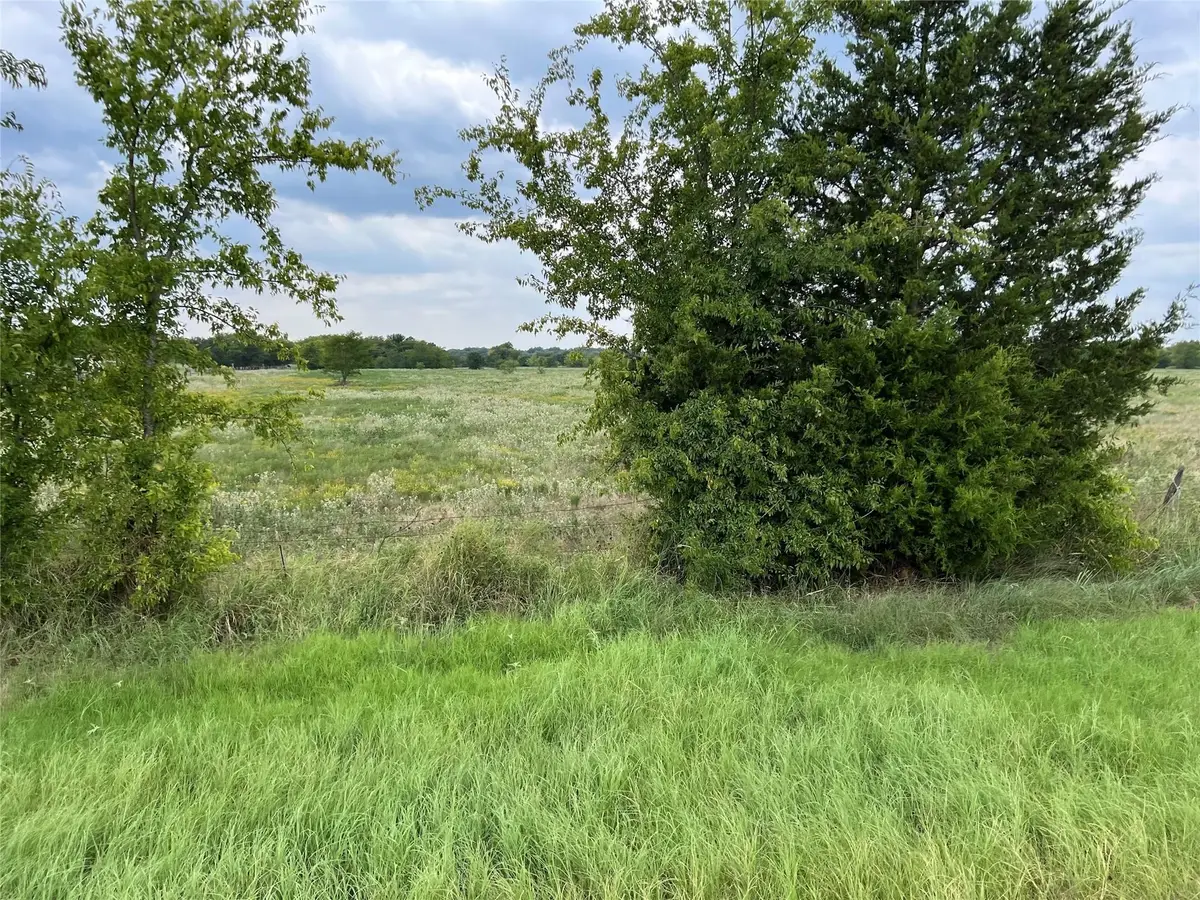 53+ Fm-513, Campbell, TX 75422 - #1