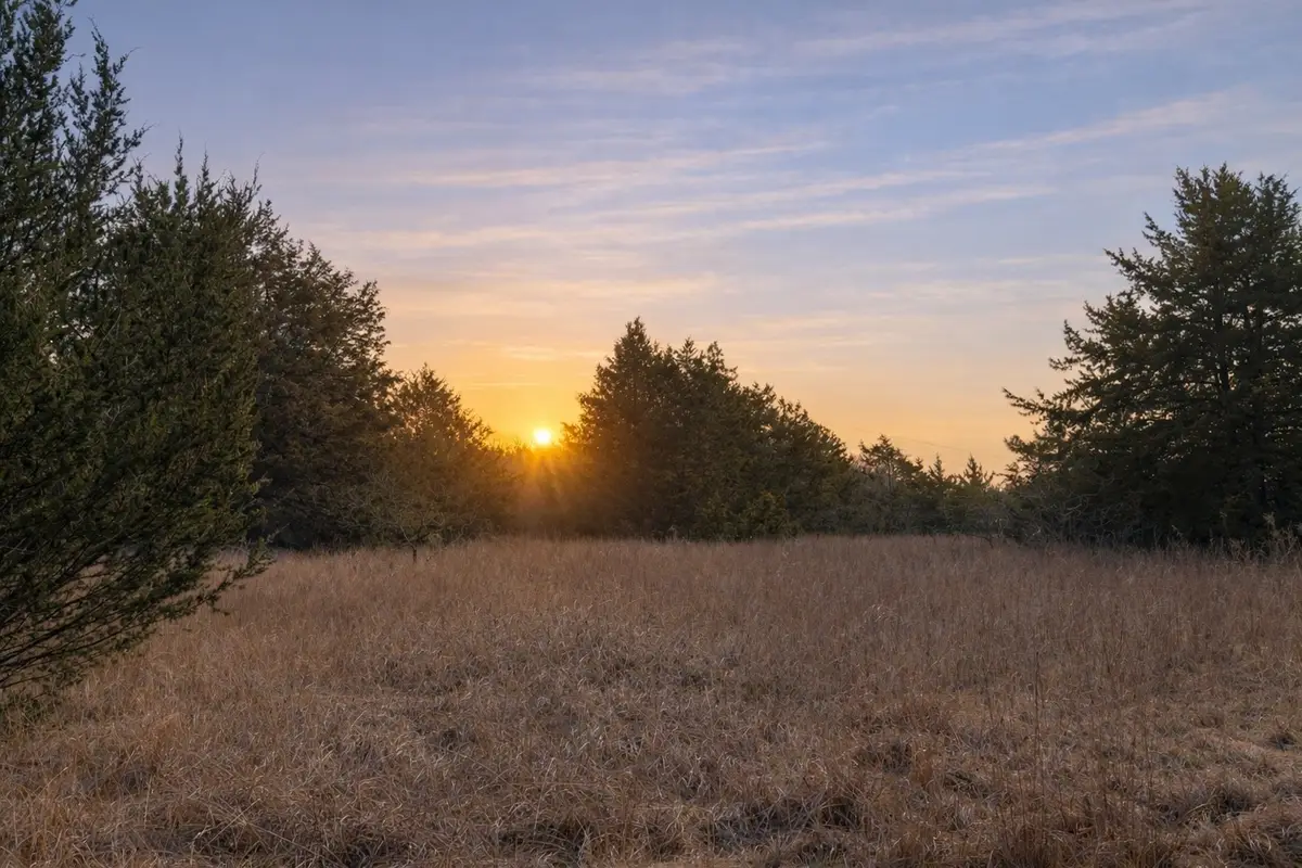 Lots 162A, 162B, 163A Sw Cr 4011, Dawson, TX 76639 - #1