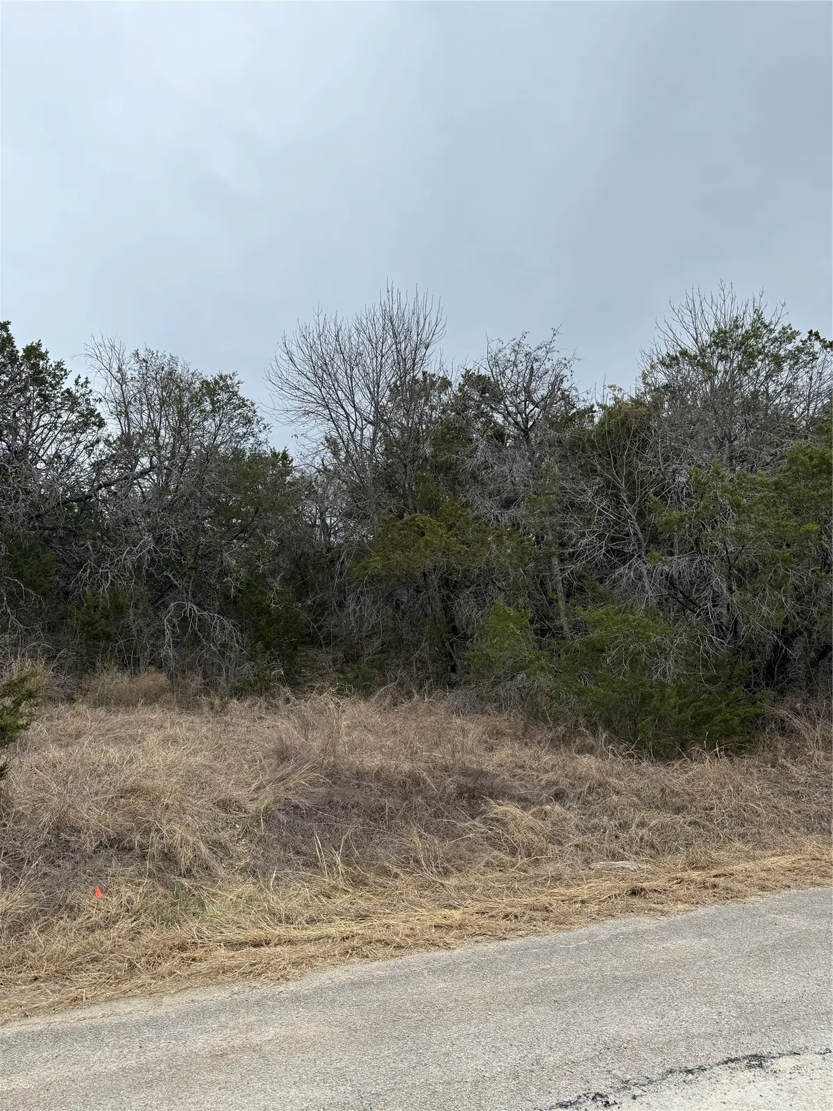 4611 Evening View Drive, Granbury, TX 76048 - #1