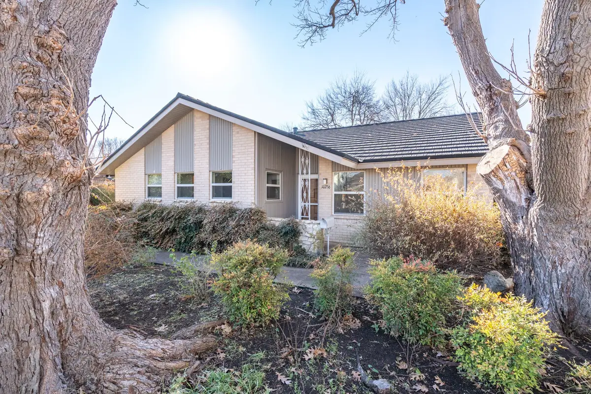 10236 Mapleridge Drive, Dallas, TX 75238 - #1