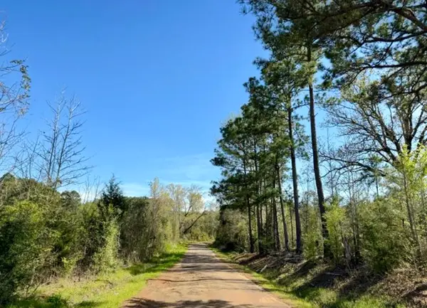 TBD County Road 1619, Linden, TX 75563