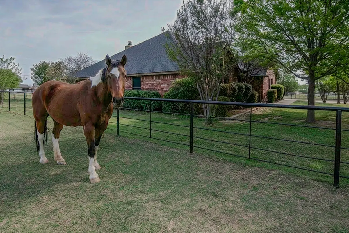 113 Brentwood Lane, Haslet, TX 76052 - #1