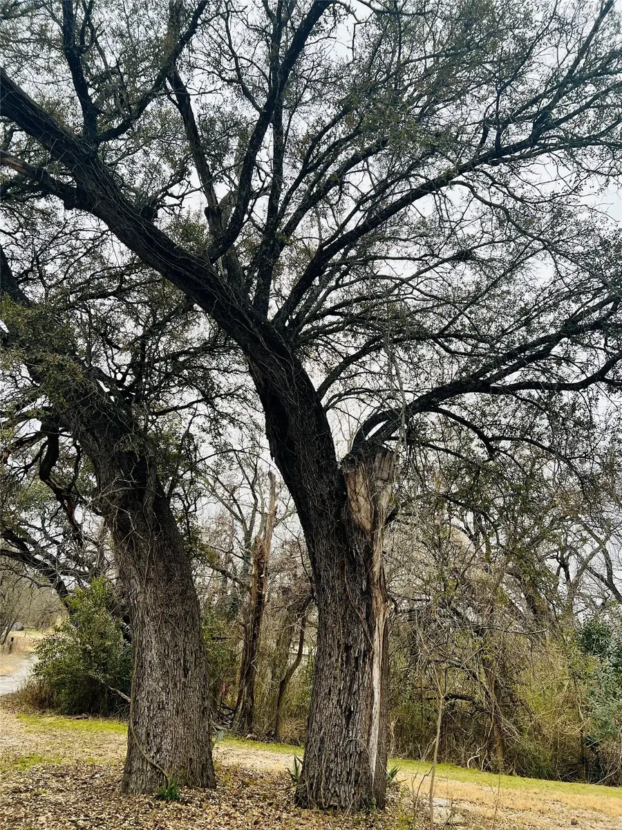 313 N Cage Street, Hamilton, TX 76531 - #2