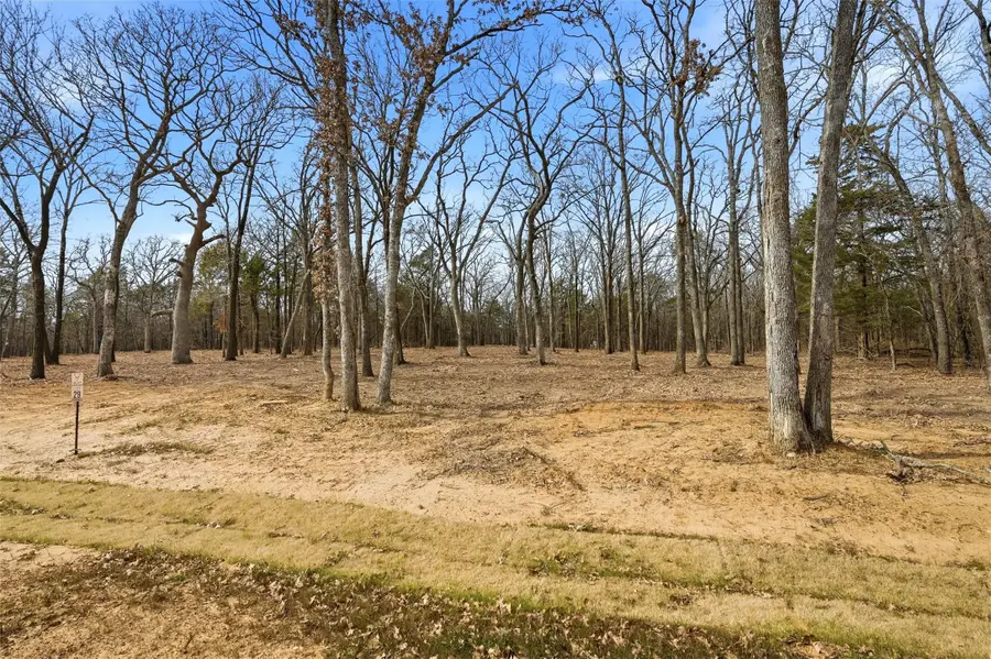 Lot 29 White Tail Way, Pottsboro, TX 75076 - #3