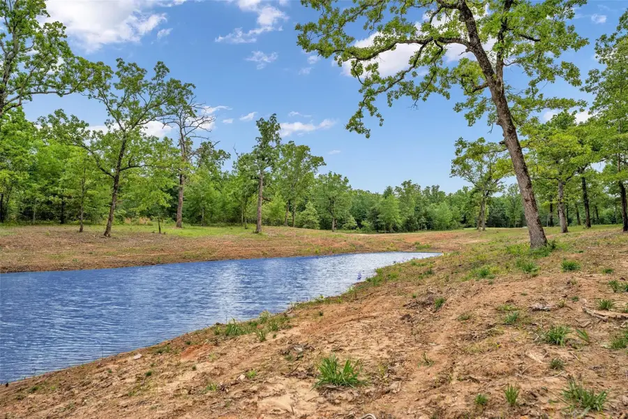 TBD Vz County Road 1507 Road, Grand Saline, TX 75140 - #2