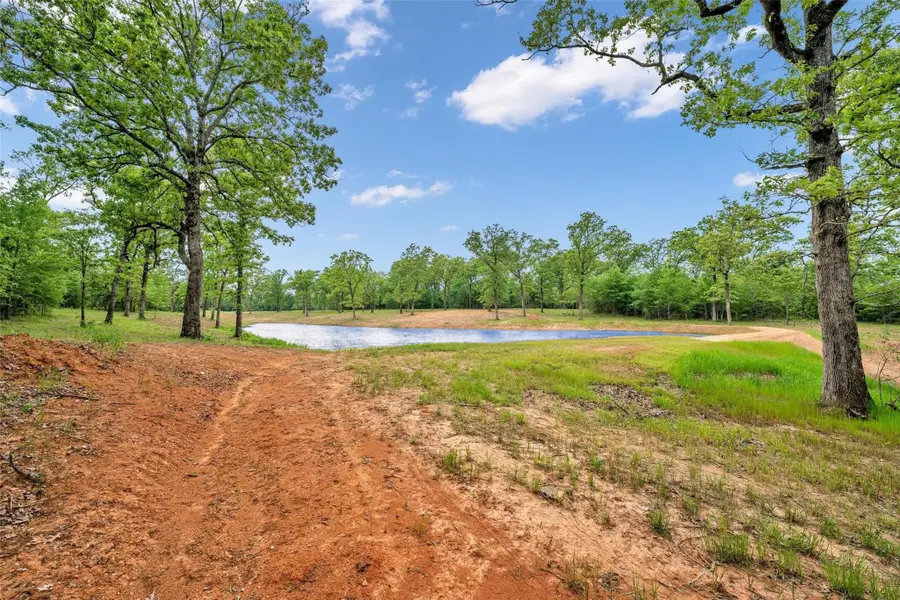 TBD Vz County Road 1507 Road, Grand Saline, TX 75140 - #3