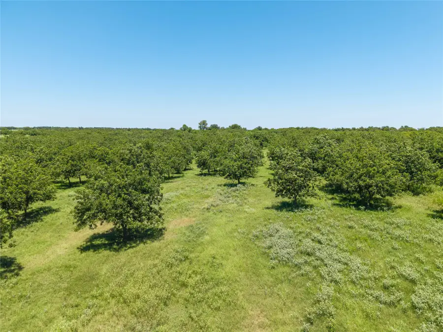 164.08 Acres TBD Highway 2318, De Leon, TX 76444 - #3