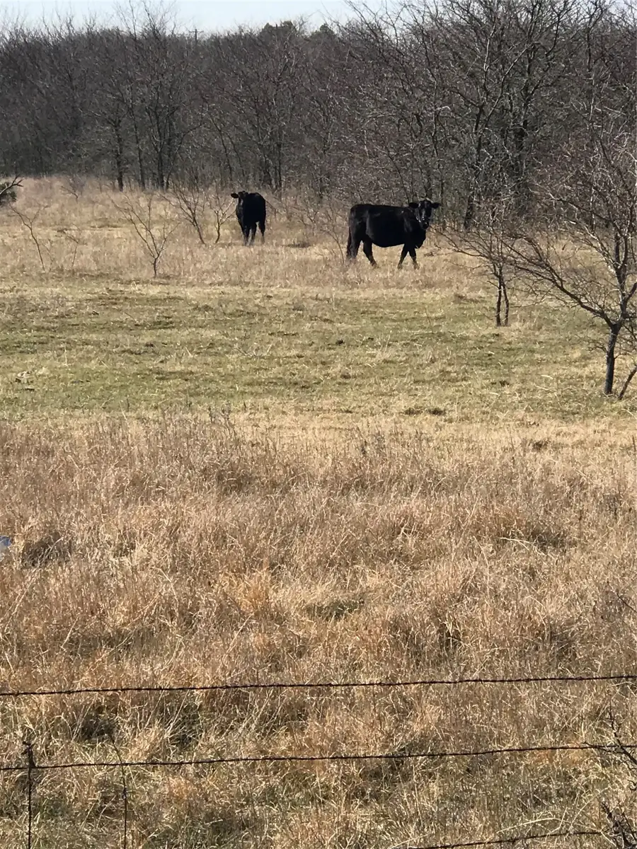 TBD 14 Acres Winn Road, Collinsville, TX 76233 - #2