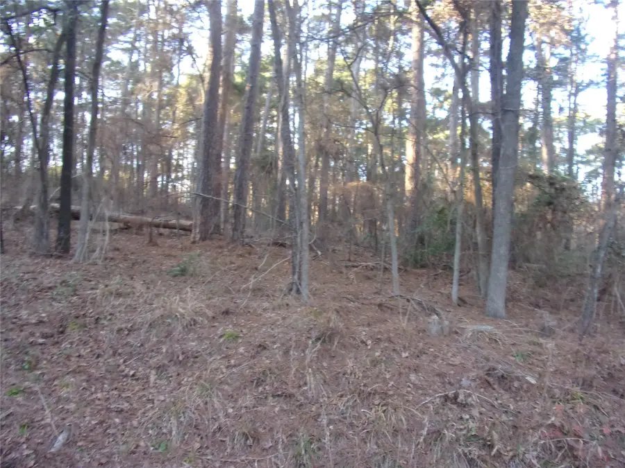 tbd Lake Side Drive, Flint, TX 75762 - #2