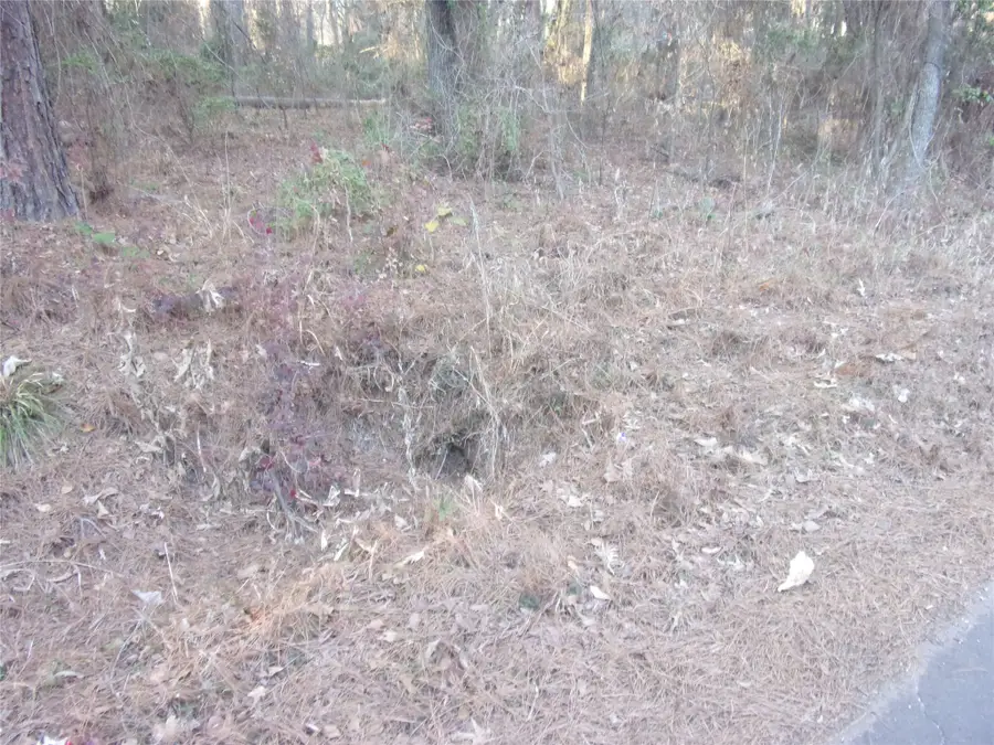 tbd Lake Side Drive, Flint, TX 75762 - #3