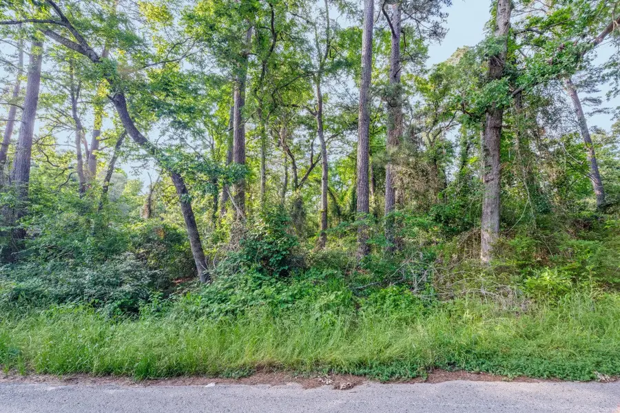 00 Forest Hill Drive, Frankston, TX 75763 - #2