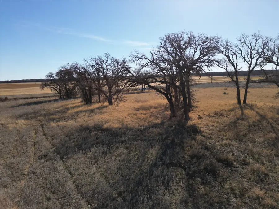 1235 County Road 226, Rising Star, TX 76471 - #2