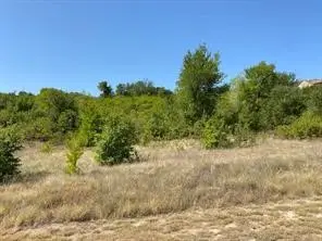 TBD Wren, Graford, TX 76449 - #1