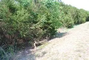 5017 Horseshoe Drive, Whitney, TX 76692