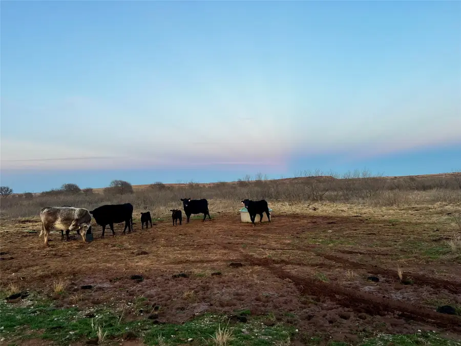 Lot 32 High Plains Trail, Bellevue, TX 76228 - #2