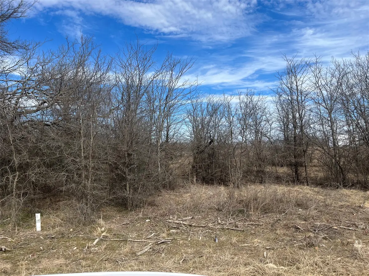 TBD Sleepy Meadow Drive, Bridgeport, TX 76426 - #1