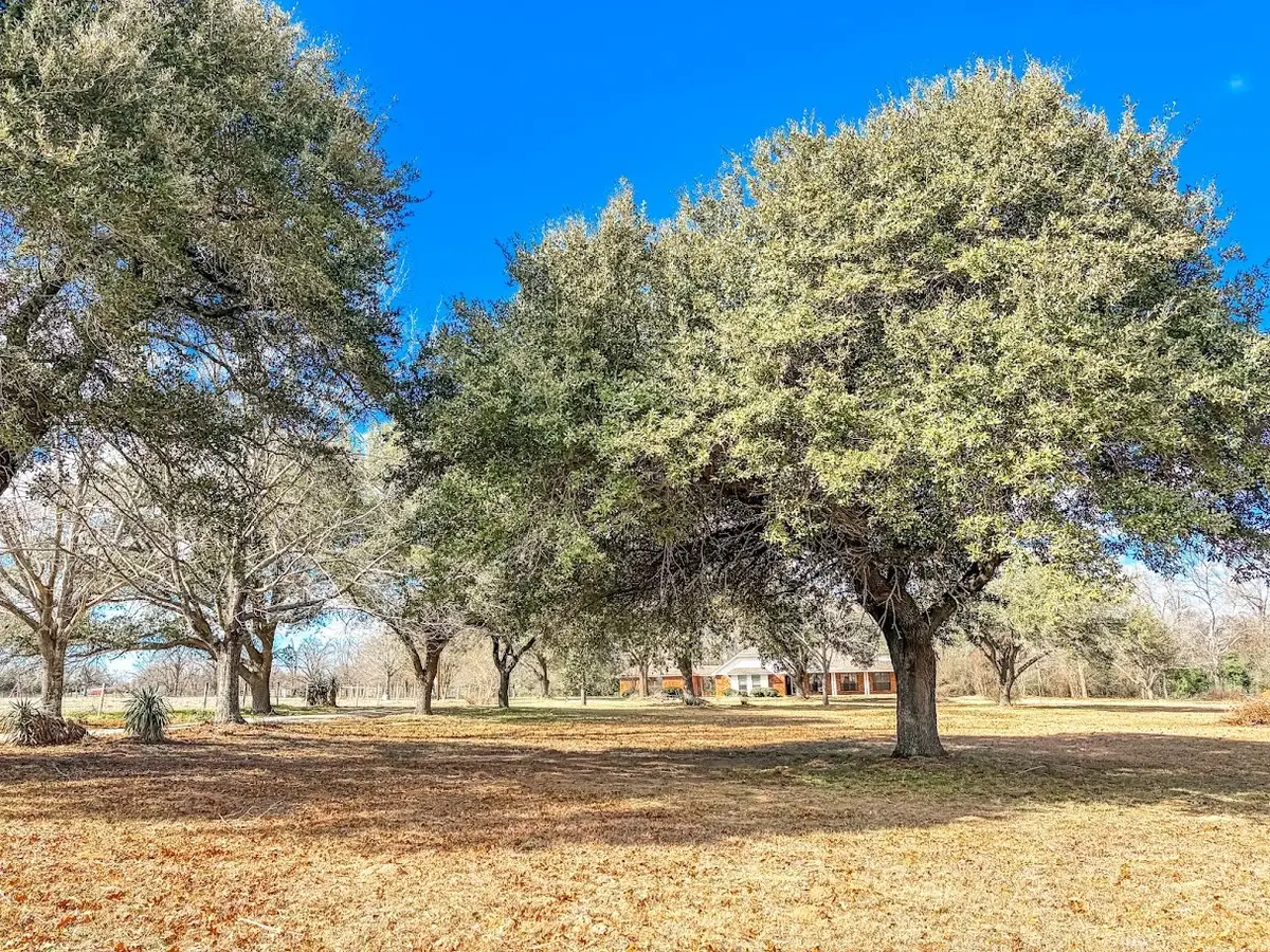 210 County Road 752, Donie, TX 75838 - #1