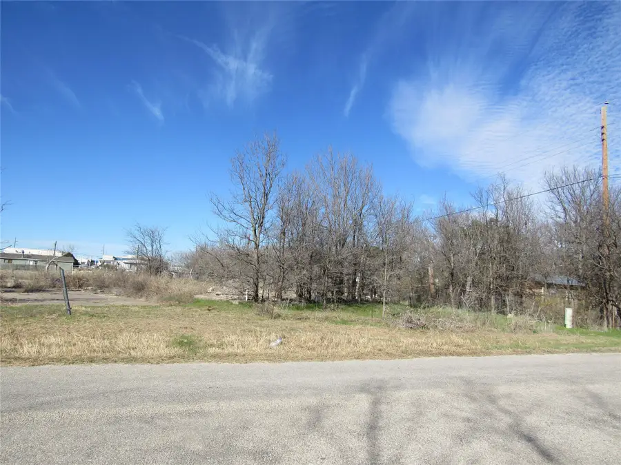 207 Newell Drive, Hudson Oaks, TX 76087 - #3