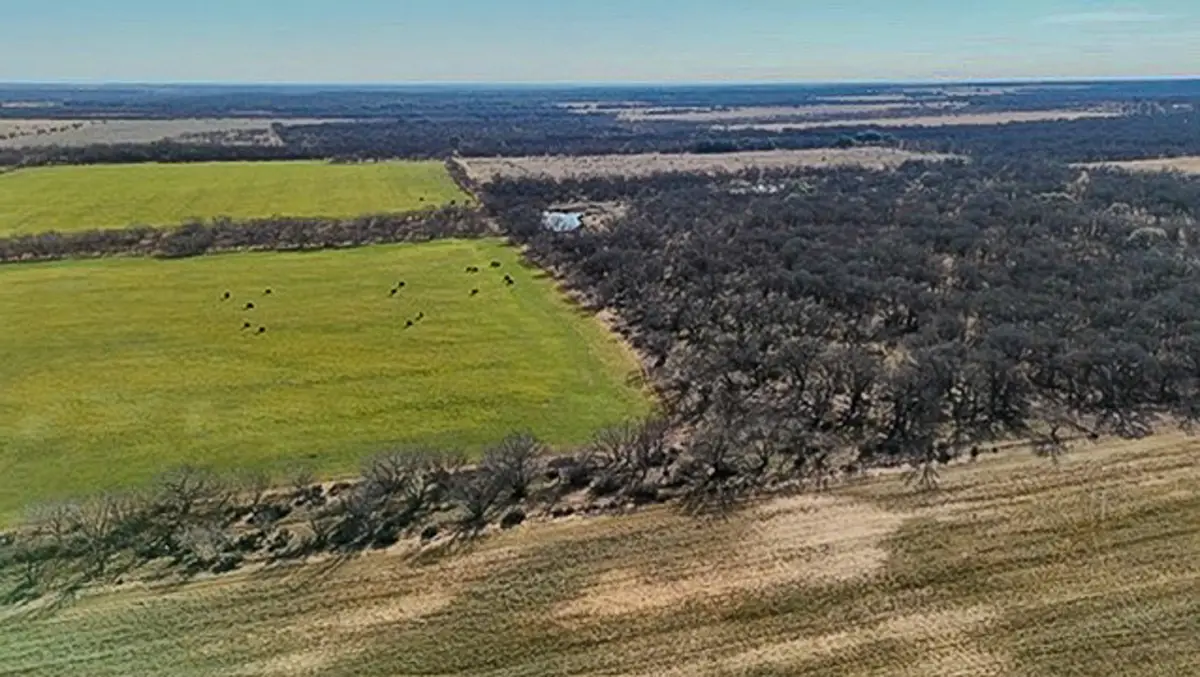 454 County Road 196, Gorman, TX 76454 - #1