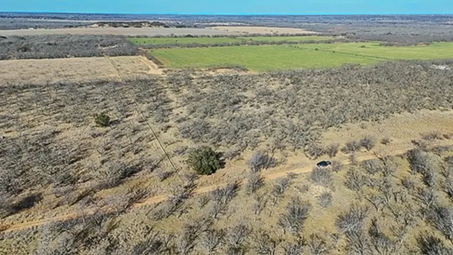 454 County Road 196, Gorman, TX 76454 - #3