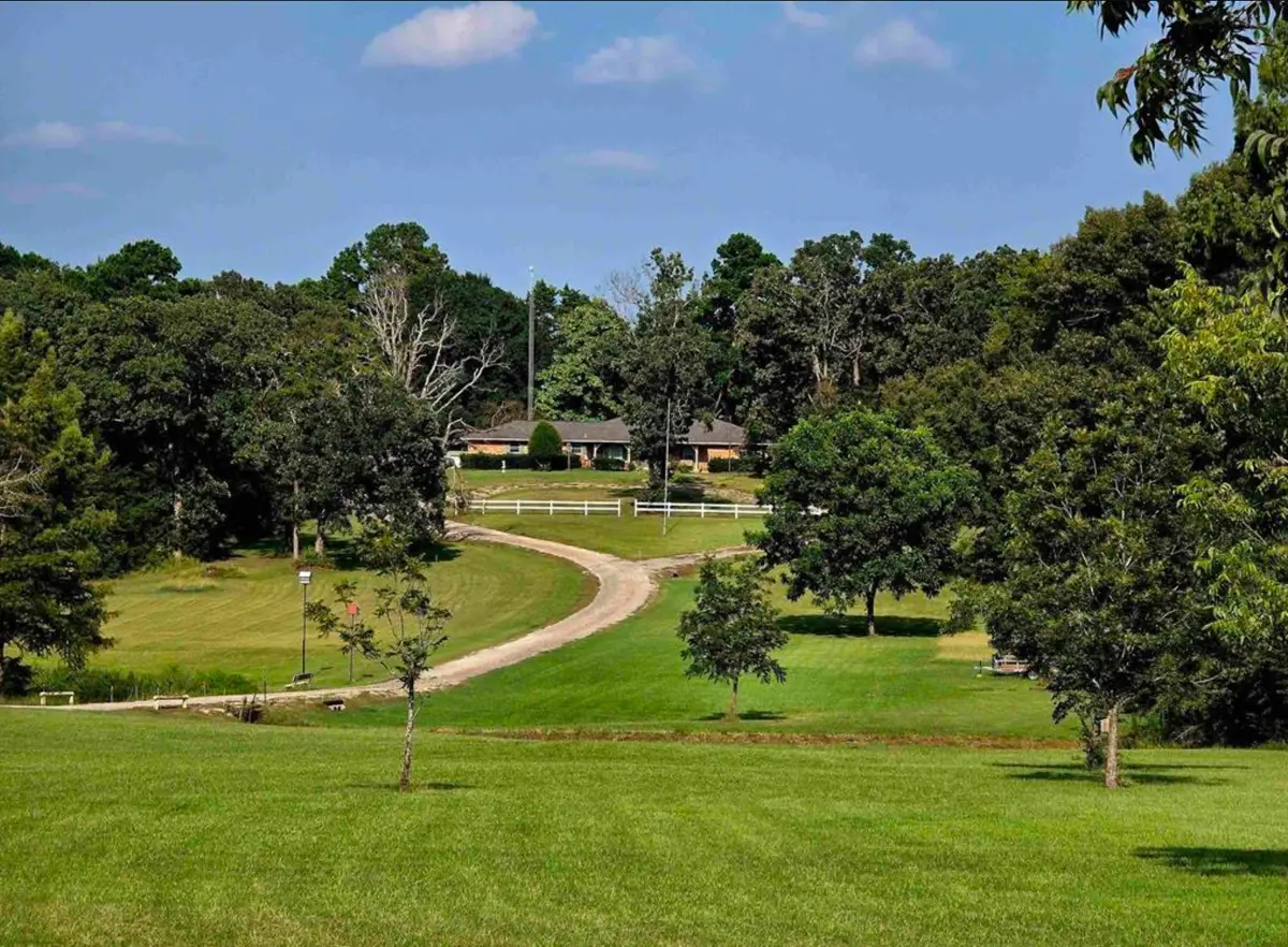 7991 Fm 314, Ben Wheeler, TX 75754 - #1