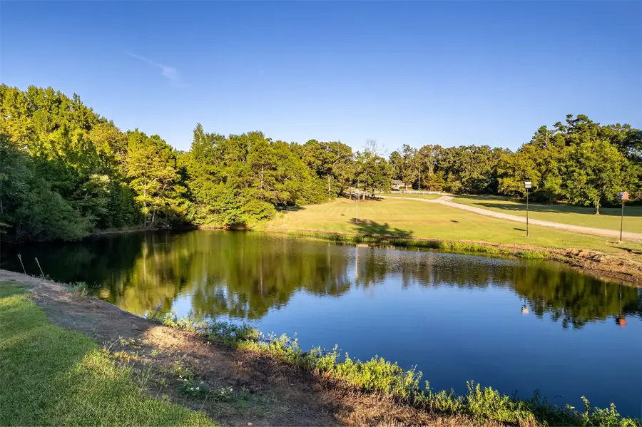 7991 Fm 314, Ben Wheeler, TX 75754 - #3