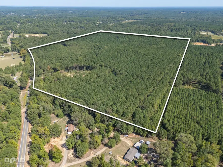 0 Old Plain Dealing, Plain Dealing, LA 71064 - #2