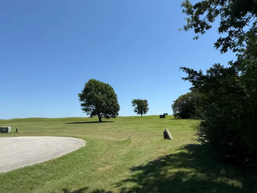 44 Dublin Court, Gordonville, TX 76245 - #3