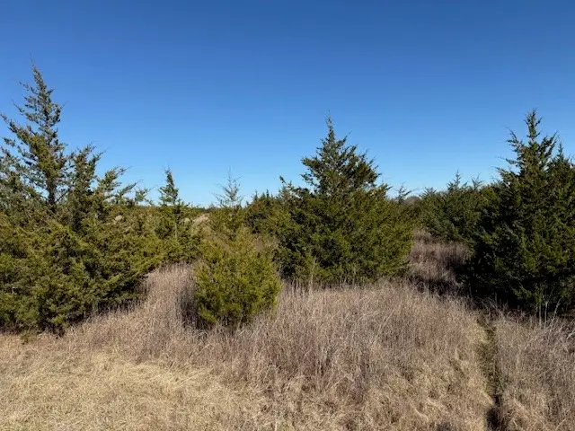 Lot 2 Cr43380, Paris, TX 75462 - #2