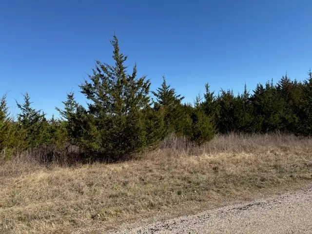 LOT 5 Cr 43380, Paris, TX 75462 - #3