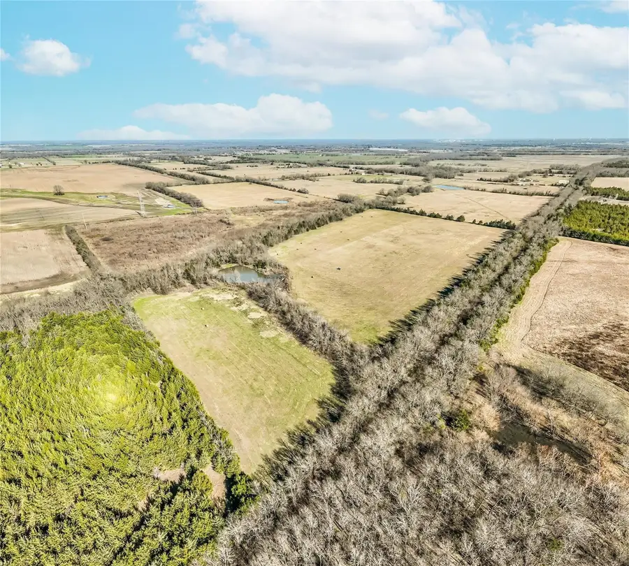 TBD County Road 23900, Brookston, TX 75421 - #2