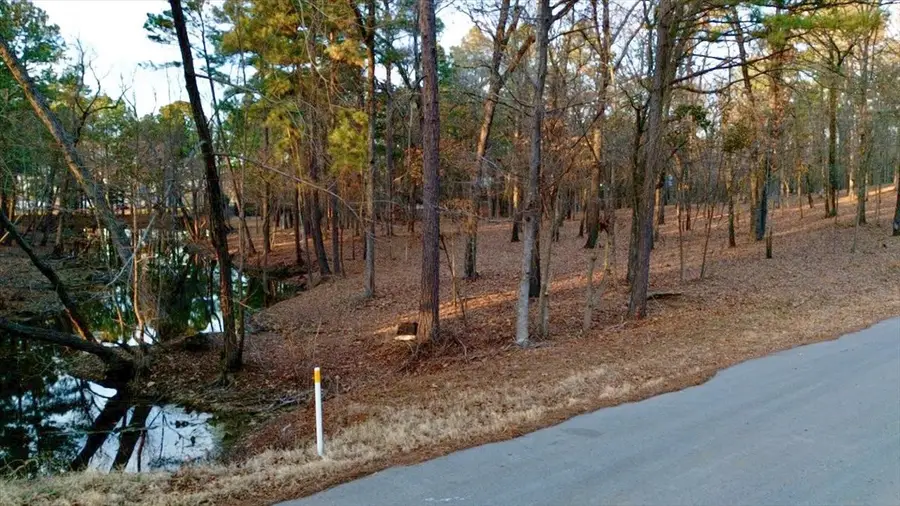 TBD Hickory Trail #(11D), Flint, TX 75762 - #2