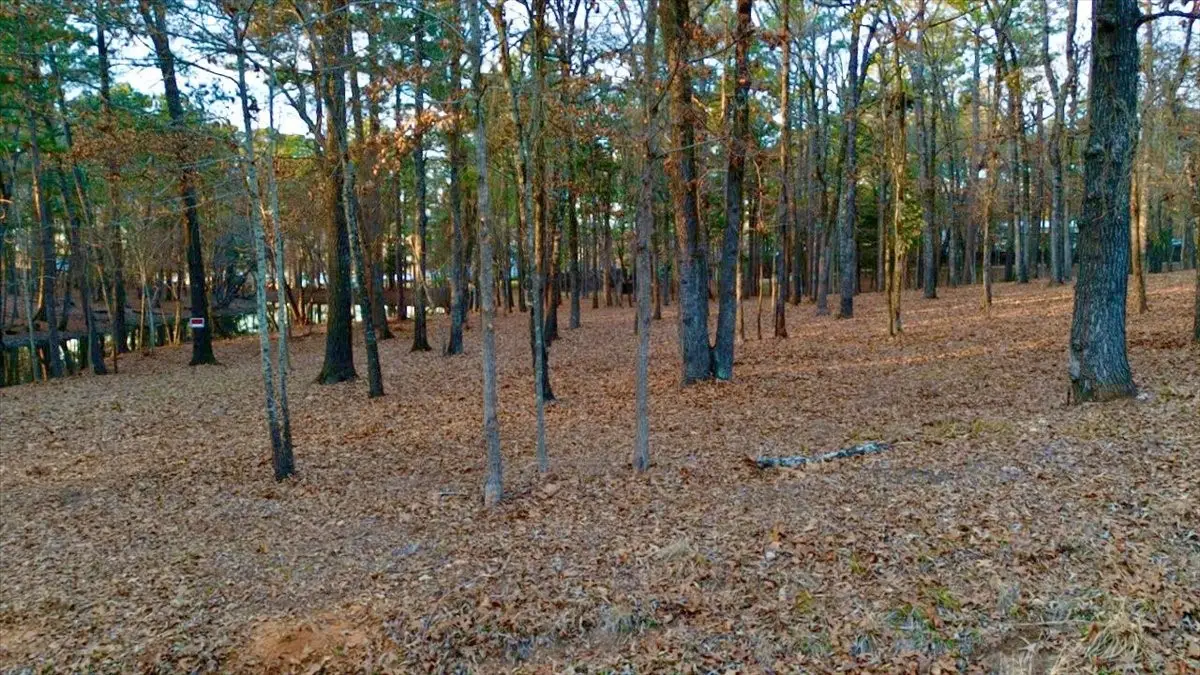 TBD Hickory Trail #(11E), Flint, TX 75762 - #1