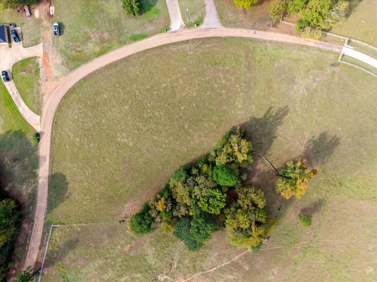 Lot 1 County Road 1690, Mount Pleasant, TX 75455 - #1