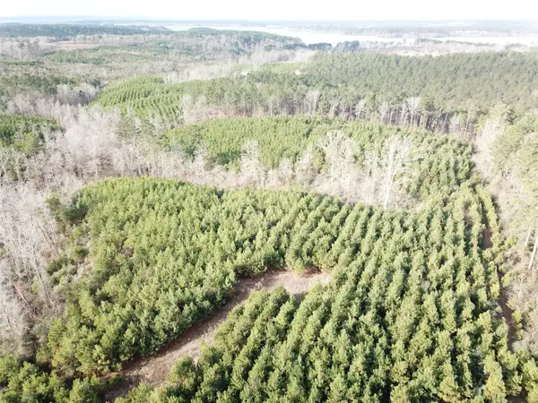 00 Off Mcmanus Road, Zwolle, LA 71486