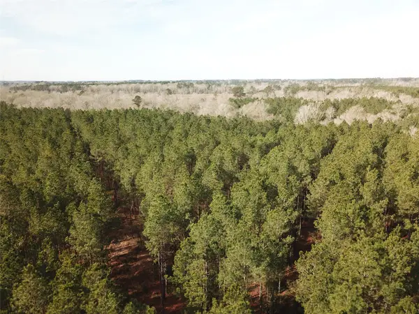 00 Off Countree Road, Zwolle, LA 71486