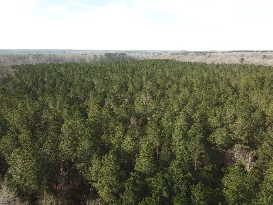 00 Off Countree Road, Zwolle, LA 71486 - #2