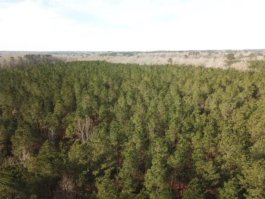 00 Off Countree Road, Zwolle, LA 71486 - #3