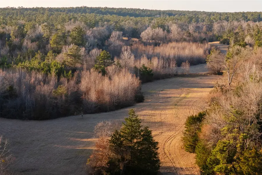 13579 County Road 4198 S, Laneville, TX 75667 - #3