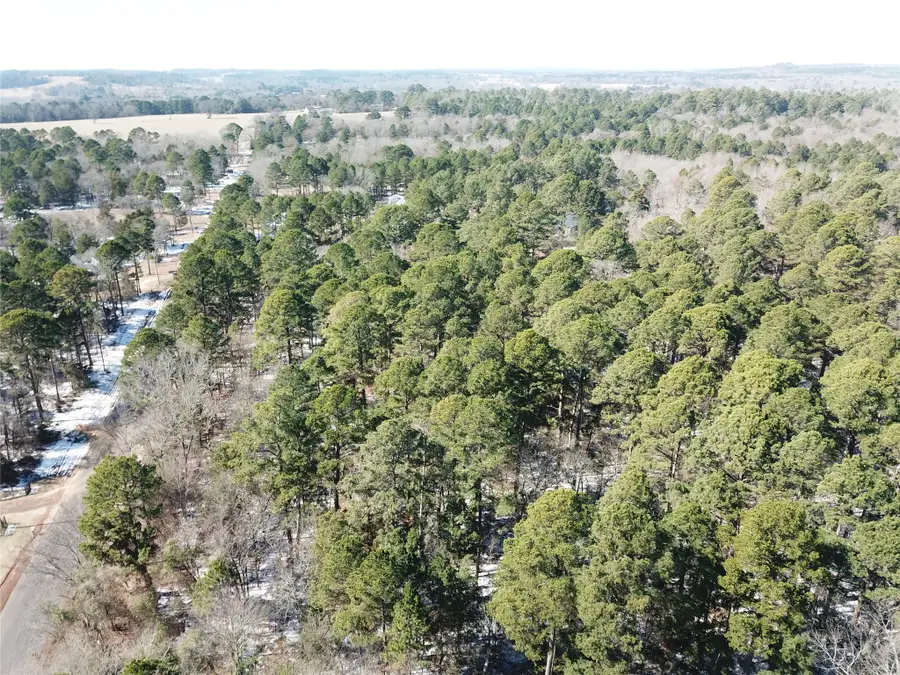 00 County Road 3147, Tyler, TX 75706 - #2