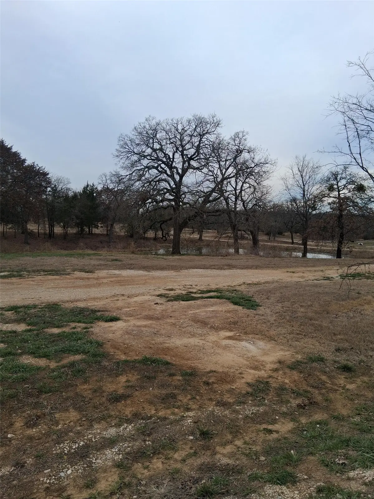 112 Lakelands Court, Gordonville, TX 76245 - #1