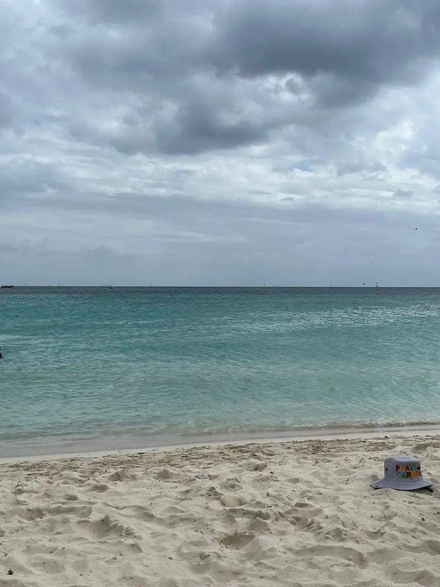 9 Royal Palms, Southeast Hidalgo, TX 77710 - #2