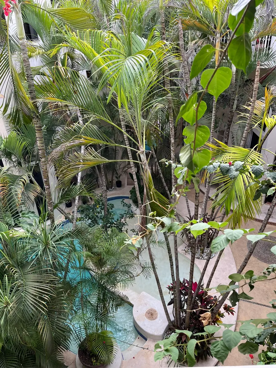 9 Royal Palms, Southeast Hidalgo, TX 77710 - #3