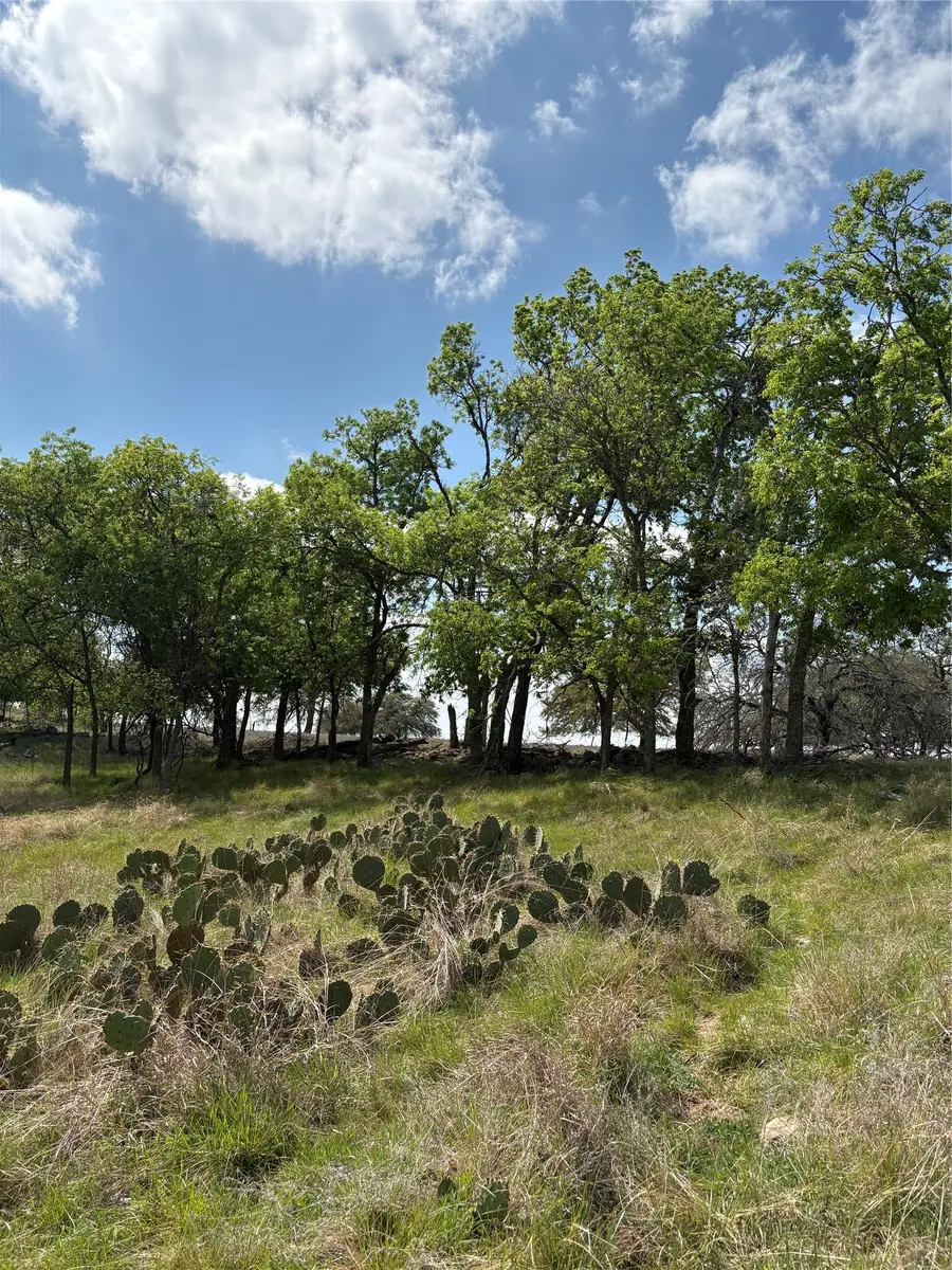 520 Sh 16 N, Goldthwaite, TX 76844 - #2