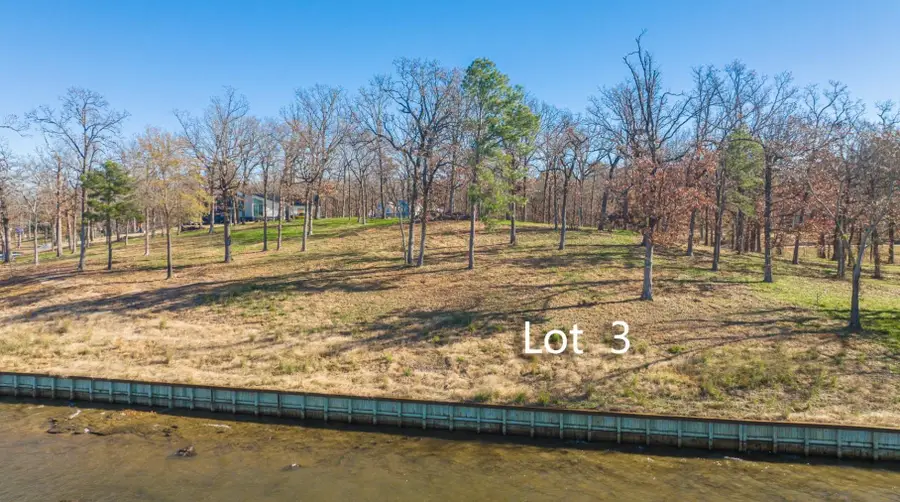 Lot #3 Pr 52603, Pittsburg, TX 75686 - #3