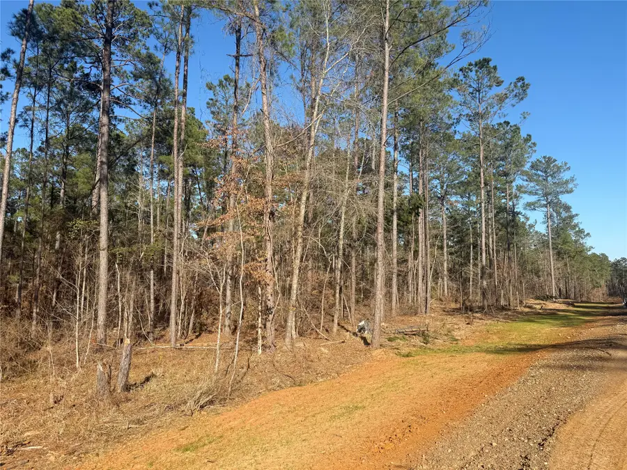 Lot 10 King Estate Lane, Ruston, LA 71270 - #2