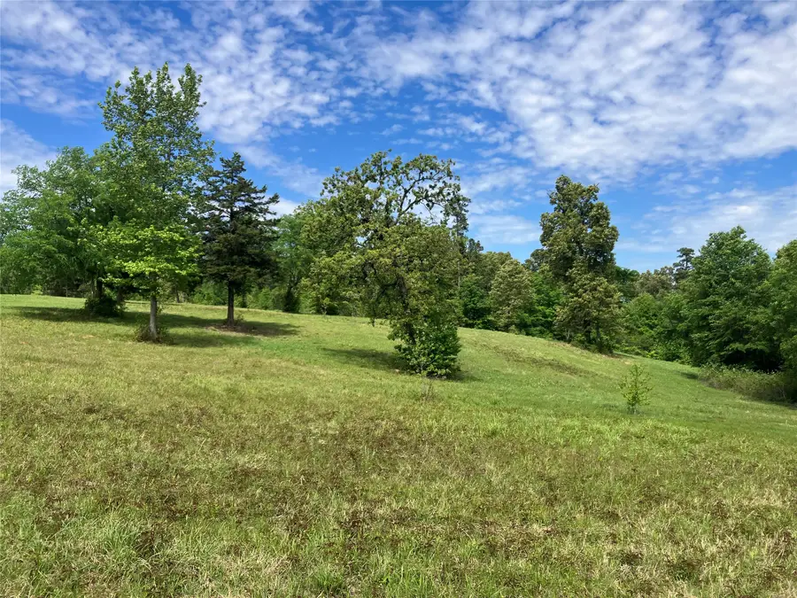 TBD Ridgeline Loop, Winona, TX 75792 - #2